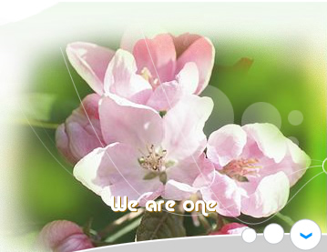 We Are One
